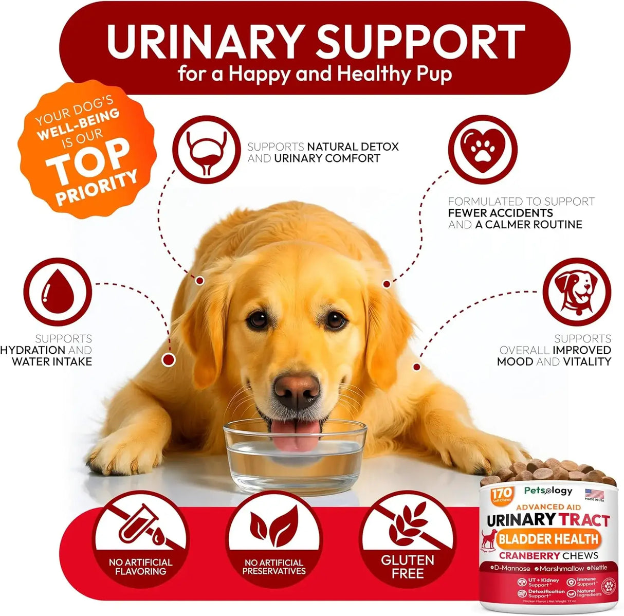 PETSOLOGY - Petsology Dog UTI Treatment Cranberry Chews 170 Masticables - The Red Vitamin MX - Salud De Tracto Urinario Para Perros - {{ shop.shopifyCountryName }}