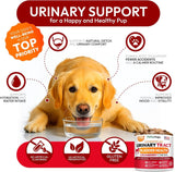PETSOLOGY - Petsology Dog UTI Treatment Cranberry Chews 170 Masticables - The Red Vitamin MX - Salud De Tracto Urinario Para Perros - {{ shop.shopifyCountryName }}