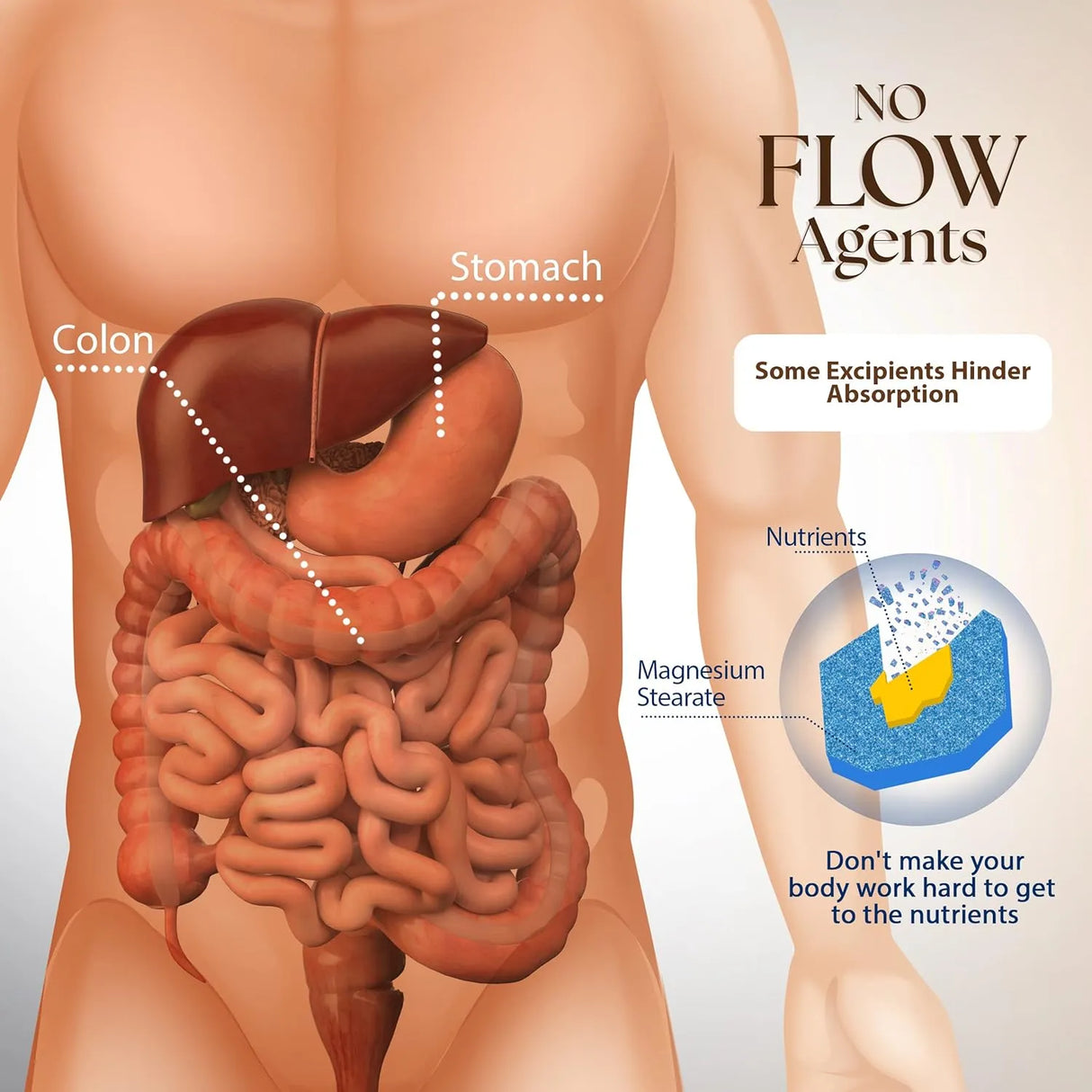 DR. CLARK - Dr Clark Superblend Wormwood 330Mg. 100 Capsulas - The Red Vitamin MX - Suplementos Alimenticios - {{ shop.shopifyCountryName }}