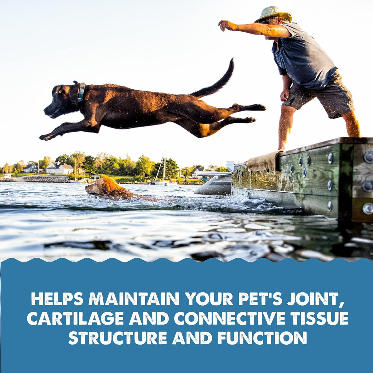 GRIZZLY PET PRODUCTS Joint Aid for Dogs Liquid Hip and Joint Support 16 Fl.Oz.