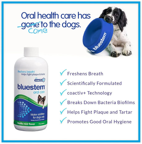 BLUESTEM - Bluestem Pet Water Additive Oral Care Dogs Only Vanilla Mint 500Ml. - The Red Vitamin MX - Cuidado Dental Para Perros - {{ shop.shopifyCountryName }}