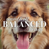 BURT'S BEES - Burt's Bees for Pets Eye Wash with Saline Solution for Dogs 4 Fl.Oz. 2 Pack - The Red Vitamin MX - Cuidado De Los Ojos De Los Perros - {{ shop.shopifyCountryName }}