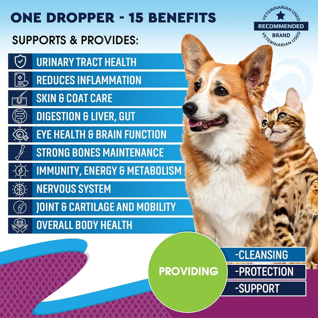 BELOVED PETS - Beloved Pets Cat & Dog Multivitamin Liquid 60Ml. - The Red Vitamin MX - Multivitamínicos Para Perros - {{ shop.shopifyCountryName }}