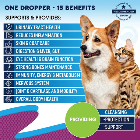 BELOVED PETS - Beloved Pets Cat & Dog Multivitamin Liquid 60Ml. - The Red Vitamin MX - Multivitamínicos Para Perros - {{ shop.shopifyCountryName }}