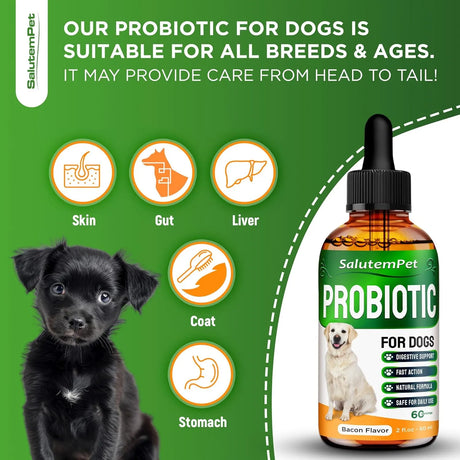 SALUTEMPET - SalutemPet Liquid Probiotics for Dogs Bacon Taste 2 Fl.Oz. - The Red Vitamin MX - Probióticos Para Perros - {{ shop.shopifyCountryName }}