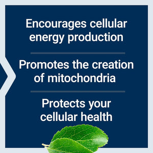 LIFE EXTENSION - Life Extension Mitochondrial Energy Optimizer with PQQ 120 Capsulas - The Red Vitamin MX - Suplementos Alimenticios - {{ shop.shopifyCountryName }}