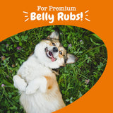 Zesty Paws Probiotic for Dogs Pumpkin Flavor 90 Masticables