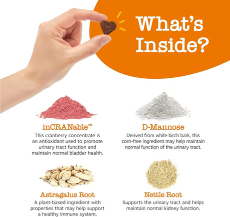 ZESTY PAWS - Zesty Paws Cranberry Supplement for Dogs Urinary Tract Support CHICKEN 90 Masticables - The Red Vitamin MX - Salud De Tracto Urinario Para Perros - {{ shop.shopifyCountryName }}