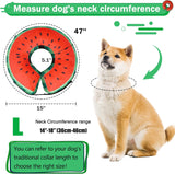 Cneo Recovery Donut Collar WATERMELON MEDIUM PLUS