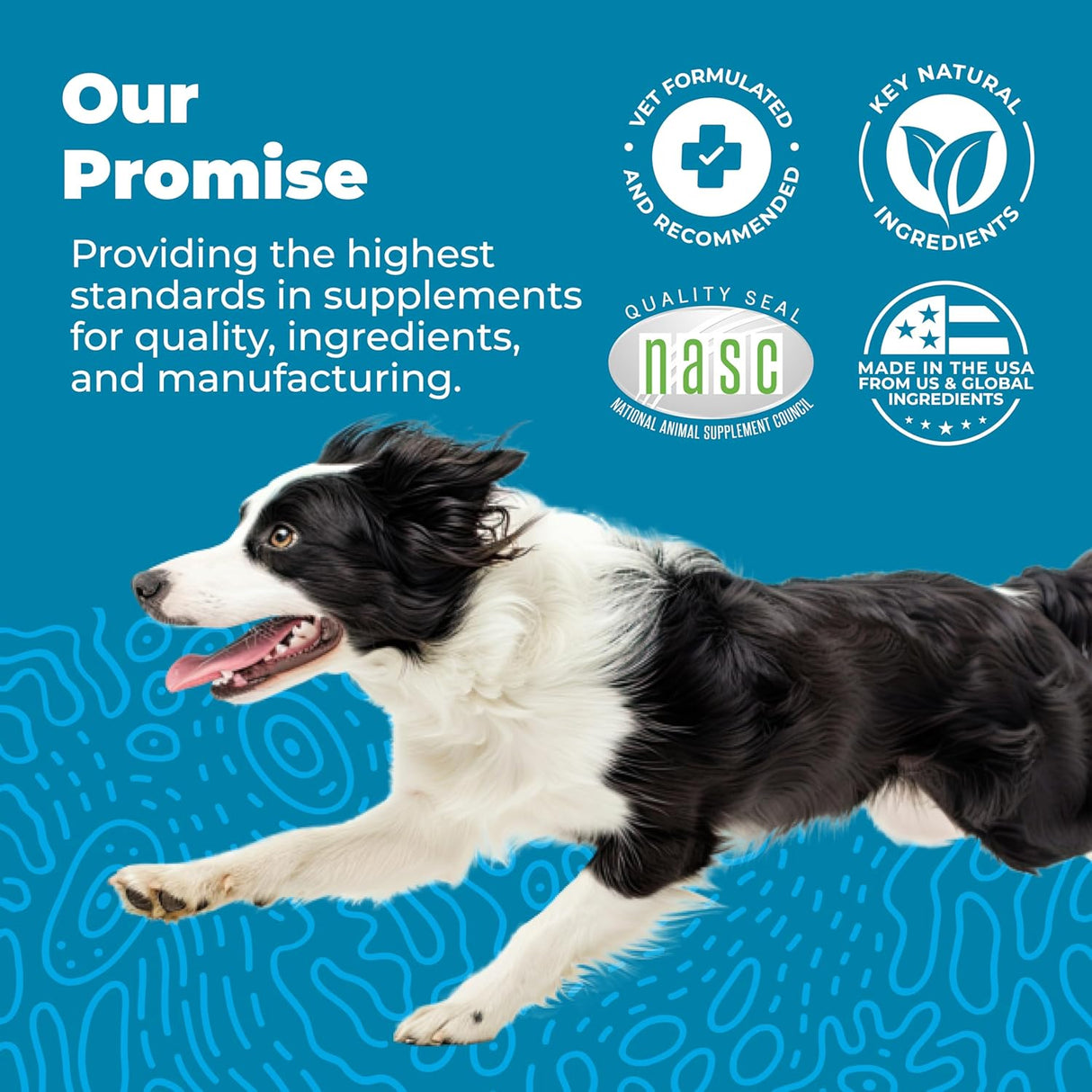 Vetnique Glandex Daily Probiotics for Dogs 60 Masticables