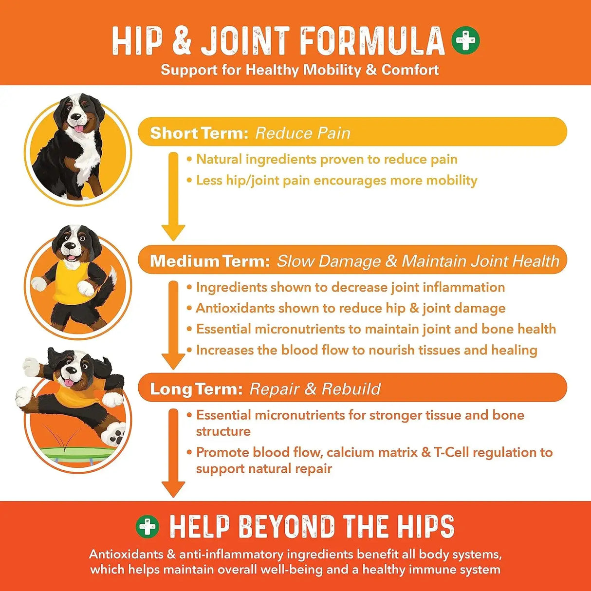 BERNIE'S - Bernie's Healthy HIPS 90 Masticables - The Red Vitamin MX - Cuidado De Cadera Y Articulaciones Para Perros - {{ shop.shopifyCountryName }}