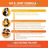 BERNIE'S - Bernie's Healthy HIPS 90 Masticables - The Red Vitamin MX - Cuidado De Cadera Y Articulaciones Para Perros - {{ shop.shopifyCountryName }}