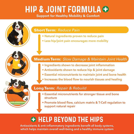 BERNIE'S - Bernie's Healthy HIPS 90 Masticables - The Red Vitamin MX - Cuidado De Cadera Y Articulaciones Para Perros - {{ shop.shopifyCountryName }}