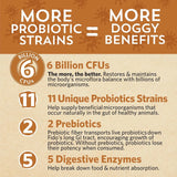 FIDOBIOTICS - Fidobiotics Good Guts for Medium Mutts Probiotic for Dogs 30 Dias - The Red Vitamin MX - Probióticos Para Perros - {{ shop.shopifyCountryName }}