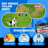 AVID PAWS - Avid Paws Dog Urine Neutralizer for Lawn 120 Masticables - The Red Vitamin MX - Salud De Tracto Urinario Para Perros - {{ shop.shopifyCountryName }}