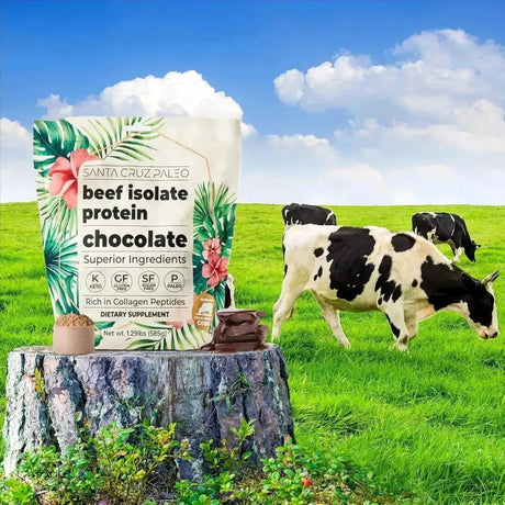 SANTA CRUZ PALEO - Santa Cruz Paleo Beef Isolate Protein Powder Chocolate 585Gr. - The Red Vitamin MX - Suplementos Alimenticios - {{ shop.shopifyCountryName }}
