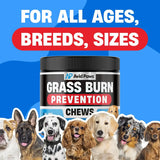 AVID PAWS - Avid Paws Dog Urine Neutralizer for Lawn 120 Masticables - The Red Vitamin MX - Salud De Tracto Urinario Para Perros - {{ shop.shopifyCountryName }}
