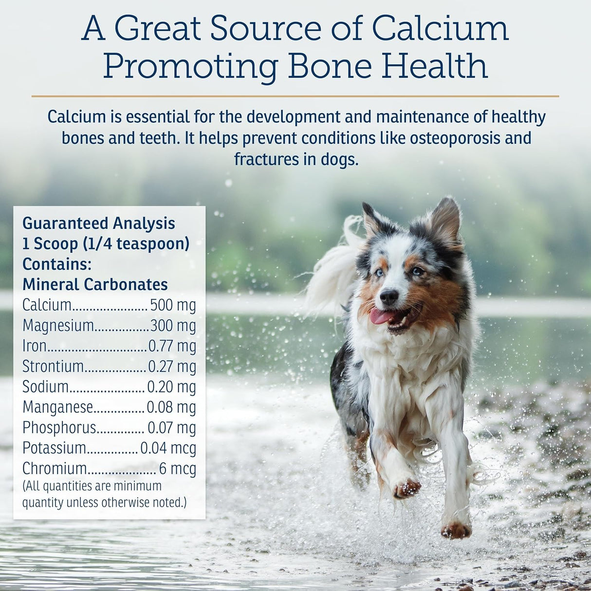 Rx Vitamins Canine Minerals 454Gr.