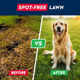 STRELLALAB - STRELLALAB Green Grass Dog Chews 120 Masticables - The Red Vitamin MX - Salud De Tracto Urinario Para Perros - {{ shop.shopifyCountryName }}