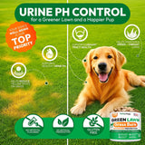 PETSOLOGY - Petsology Dog Urine Neutralizer for Lawn 170 Masticables - The Red Vitamin MX - Salud De Tracto Urinario Para Perros - {{ shop.shopifyCountryName }}