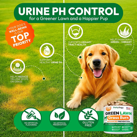 PETSOLOGY - Petsology Dog Urine Neutralizer for Lawn 170 Masticables - The Red Vitamin MX - Salud De Tracto Urinario Para Perros - {{ shop.shopifyCountryName }}