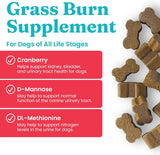 SOLID GOLD - Solid Gold Dog Pee Grass Repair Chews 120 Masticables - The Red Vitamin MX - Salud De Tracto Urinario Para Perros - {{ shop.shopifyCountryName }}
