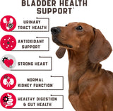 KINPUR - Kinpur Pet Care Dog UTI Treatment 180 Masticables - The Red Vitamin MX - Salud De Tracto Urinario Para Perros - {{ shop.shopifyCountryName }}