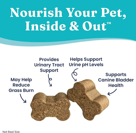 SOLID GOLD - Solid Gold Dog Pee Grass Repair Chews 120 Masticables - The Red Vitamin MX - Salud De Tracto Urinario Para Perros - {{ shop.shopifyCountryName }}