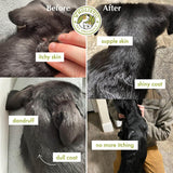 Wholistic Pet Organics Wild Alaskan Salmon Oil for Dogs 100 Capsulas Blandas