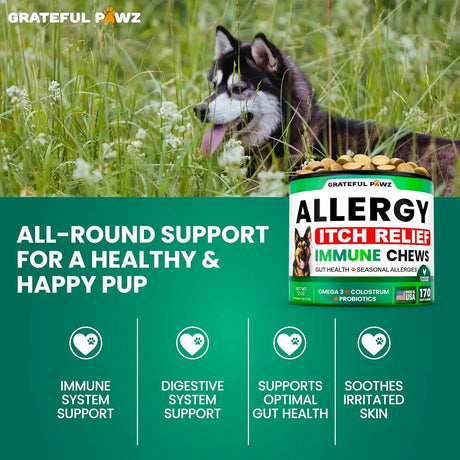GRATEFUL PAWZ - Grateful Pawz Dog Allergy Relief Chews 170 Masticables - The Red Vitamin MX - Remedios Para La Picazón De Perros - {{ shop.shopifyCountryName }}