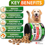 VET PROMISE - Vet Promise Dog Allergy Relief Chews 120 Masticables - The Red Vitamin MX - Remedios Para La Picazón De Perros - {{ shop.shopifyCountryName }}