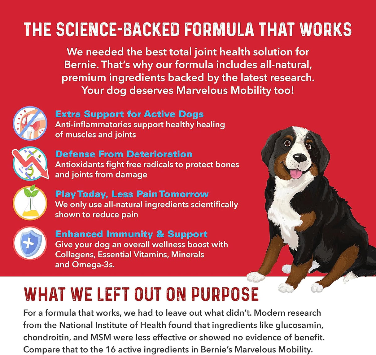 Bernie's Marvelous Mobility Daily Total Joint Support for Dogs 90 Masticables