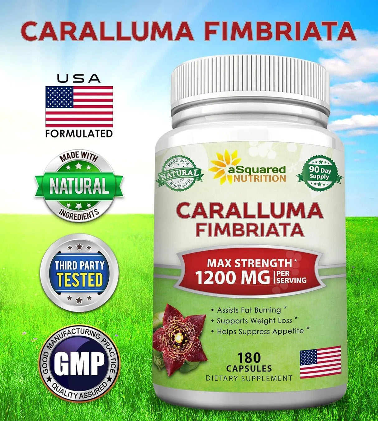 ASQUARED NUTRITION - aSquared Nutrition Caralluma Fimbriata 1200Mg. 180 Capsulas - The Red Vitamin MX - Suplementos Alimenticios - {{ shop.shopifyCountryName }}