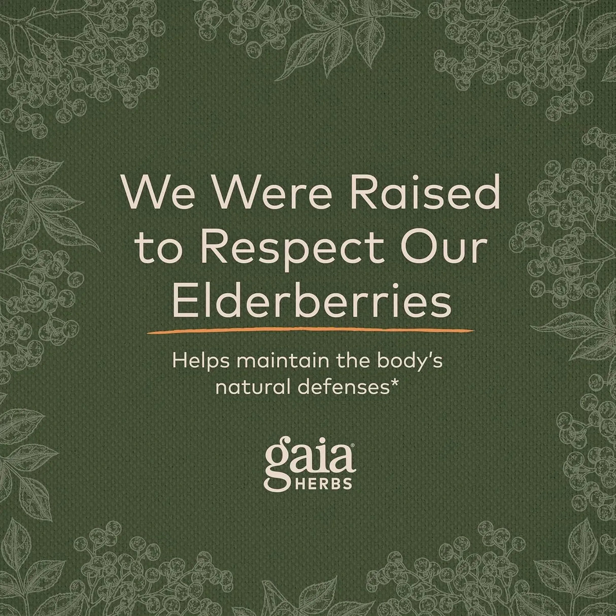 GAIA HERBS - Gaia Herbs Black Elderberry 120 Capsulas - The Red Vitamin MX - Suplementos Alimenticios - {{ shop.shopifyCountryName }}