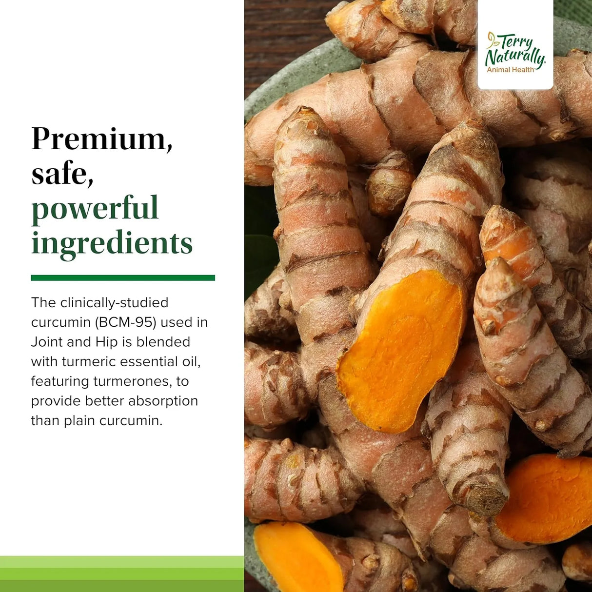 TRUSTWELL PAWMEDICA - Terry Naturally Joint & Hip 60 Masticables - The Red Vitamin MX - Cuidado De Cadera Y Articulaciones Para Perros - {{ shop.shopifyCountryName }}