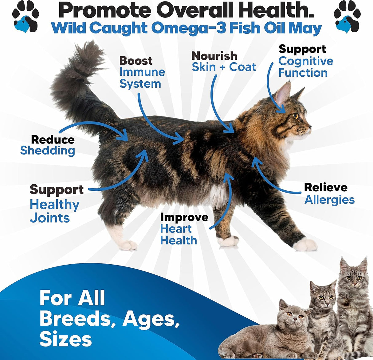 Planopaws Omega 3 Fish Oil for Cats 12 Fl.Oz.