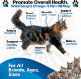 Planopaws Omega 3 Fish Oil for Cats 12 Fl.Oz.