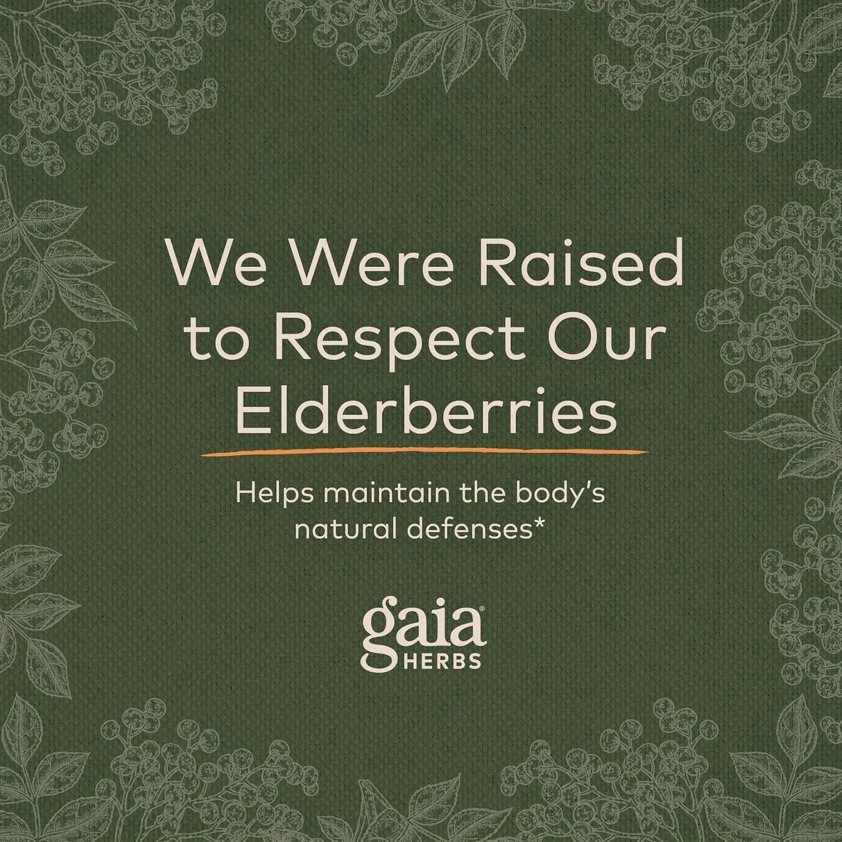 GAIA HERBS - Gaia Herbs Black Elderberry 80 Gomitas - The Red Vitamin MX - Suplementos Alimenticios - {{ shop.shopifyCountryName }}