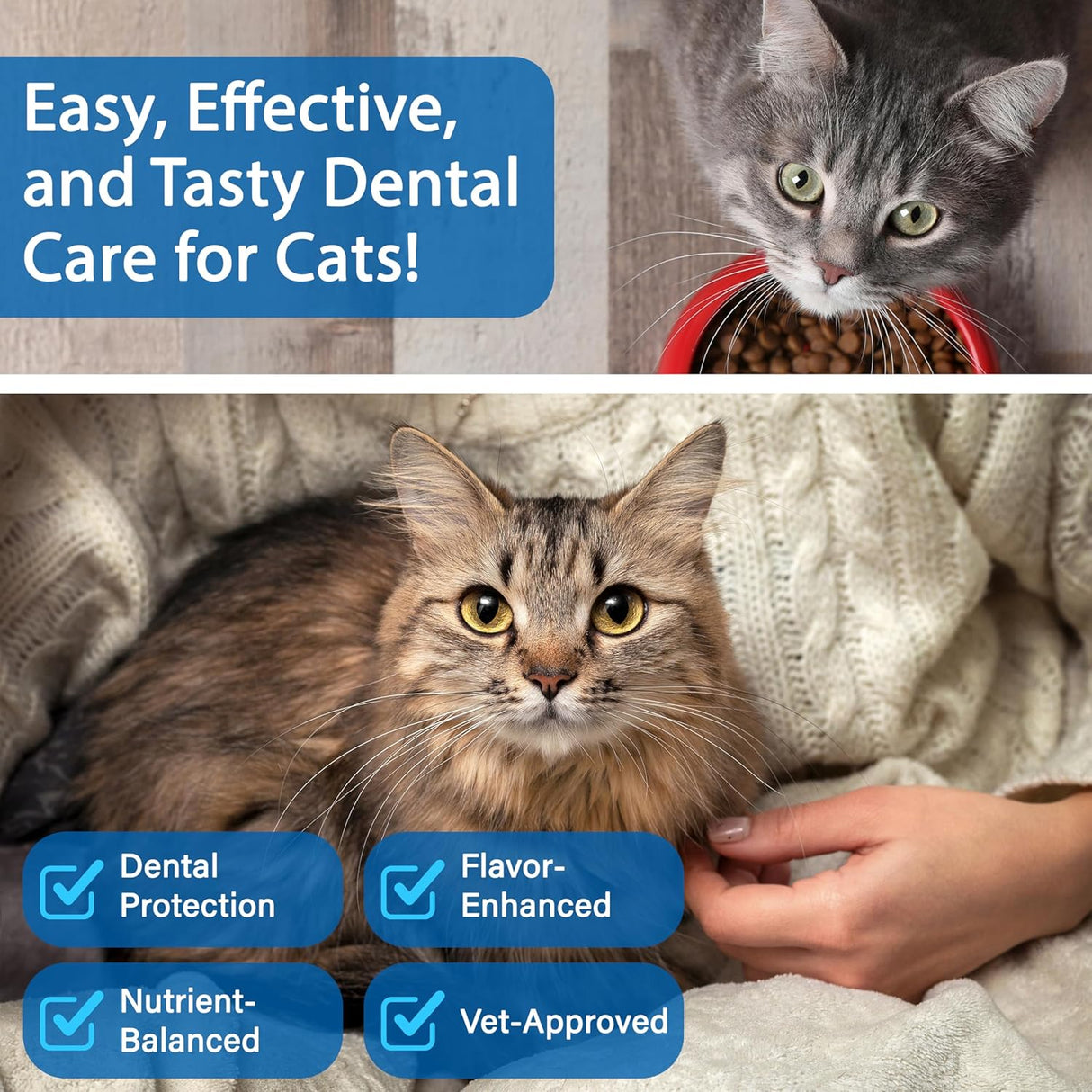 Spanielbuns Cat Dental Care Powder Bad Breath Treatment for Cats Teeth 80Gr.
