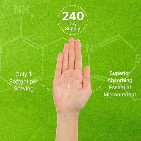 DEAL SUPPLEMENT - Deal Supplement Vitamin K2 MK-7 240 Capsulas Blandas - The Red Vitamin MX - Suplementos Alimenticios - {{ shop.shopifyCountryName }}