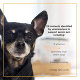 VETRISCIENCE - VetriScience Golden Years Energize and Thrive Complete Daily Multivitamin 60 Masticables - The Red Vitamin MX - Multivitamínicos Para Perros - {{ shop.shopifyCountryName }}