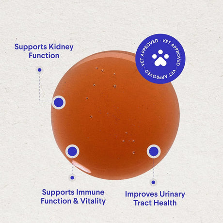 WONDER PAWS - WONDER PAWS Premium Kidney Support for Dogs 2 Fl.Oz. - The Red Vitamin MX - Salud De Tracto Urinario Para Perros - {{ shop.shopifyCountryName }}