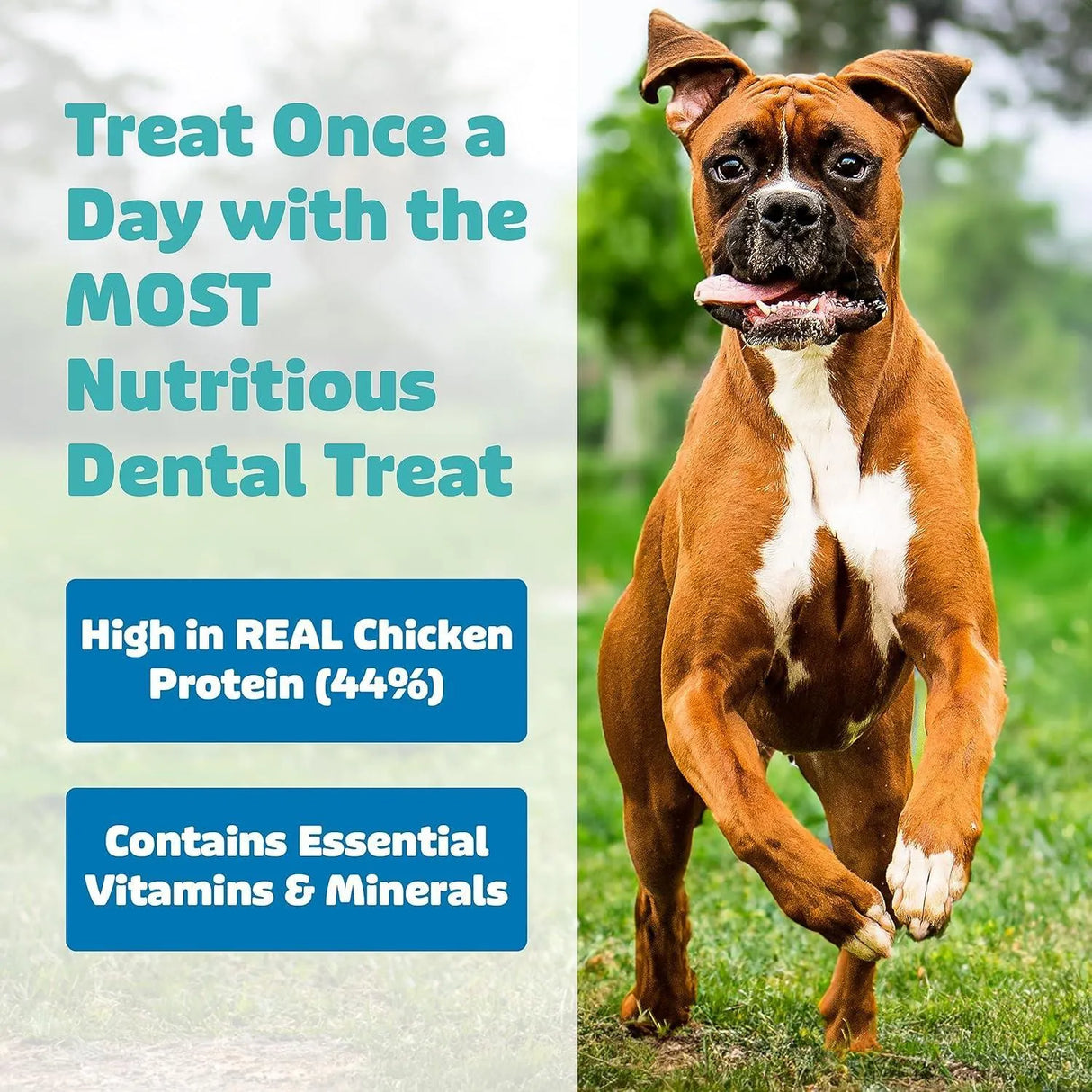 YUMMY COMBS - Yummy Combs Dog Dental Treats for Medium Dogs 30 Piezas - The Red Vitamin MX - Cuidado Dental Para Perros - {{ shop.shopifyCountryName }}