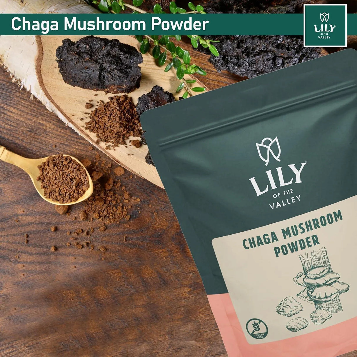 LILY OF THE VALLEY - LILY OF THE VALLEY Chaga Mushroom Powder 113Gr. - The Red Vitamin MX - Suplementos Alimenticios - {{ shop.shopifyCountryName }}