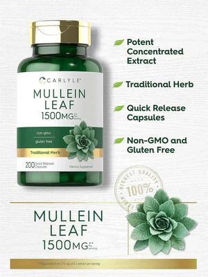 CARLYLE - Carlyle Mullein Leaf Extract 1500Mg. 200 Capsulas - The Red Vitamin MX - Suplementos Alimenticios - {{ shop.shopifyCountryName }}