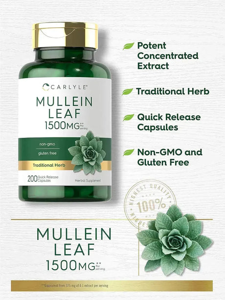 CARLYLE - Carlyle Mullein Leaf Extract 1500Mg. 200 Capsulas - The Red Vitamin MX - Suplementos Alimenticios - {{ shop.shopifyCountryName }}