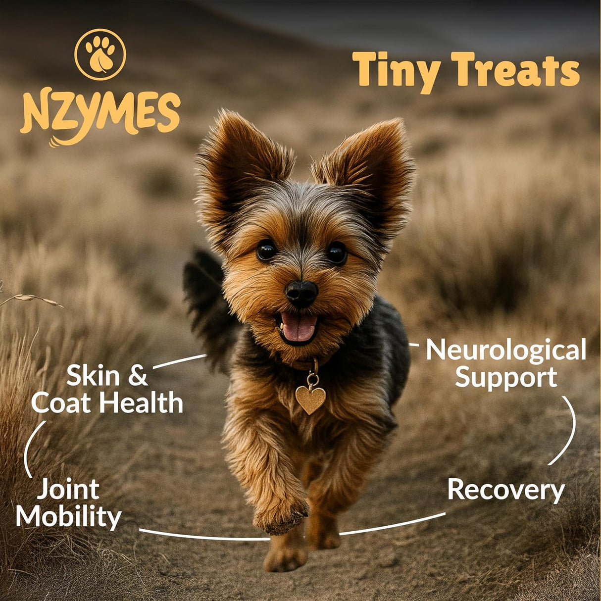 Nzymes Antioxidant Tiny Treats 90 Masticables 2 Pack