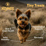Nzymes Antioxidant Tiny Treats 90 Masticables 2 Pack