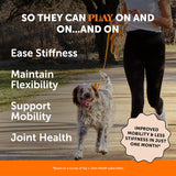 Pet Honesty Hip & Joint Health Bacon 90 Masticables