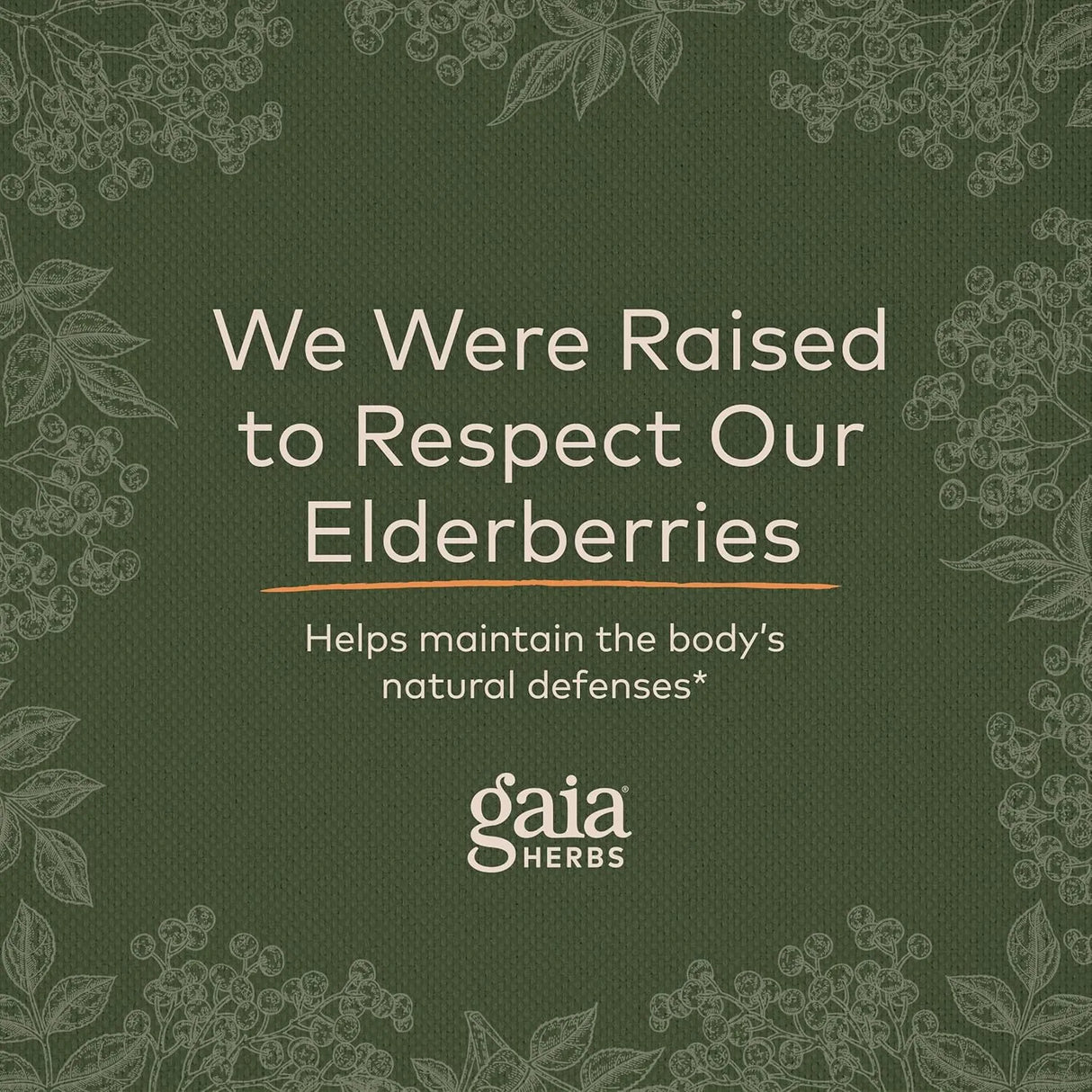 GAIA HERBS - Gaia Herbs Black Elderberry Sambucus Nigra Extra Strength Gummies 120 Gomitas - The Red Vitamin MX - Suplementos Alimenticios - {{ shop.shopifyCountryName }}